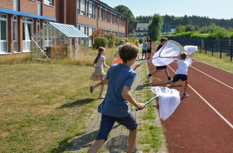 Sommerferienwoche „Insektenvielfalt – entdecken, erleben, erforschen“