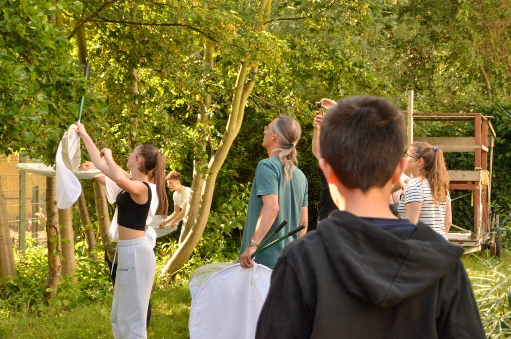 Insektive-Treffen im September