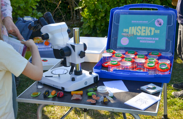 Insektive-Exkursion zum Kringelgraben in der Naturschutzwoche 2026
